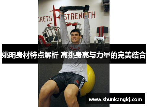 姚明身材特点解析 高挑身高与力量的完美结合