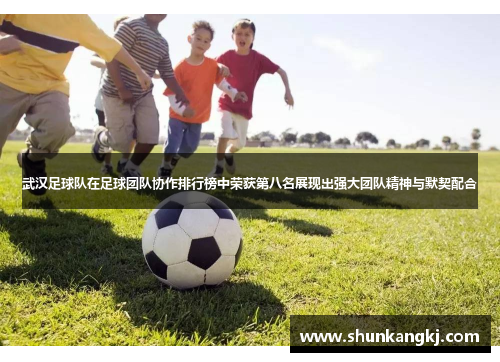 武汉足球队在足球团队协作排行榜中荣获第八名展现出强大团队精神与默契配合