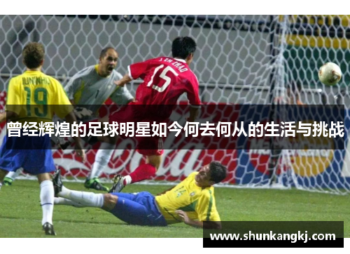 曾经辉煌的足球明星如今何去何从的生活与挑战