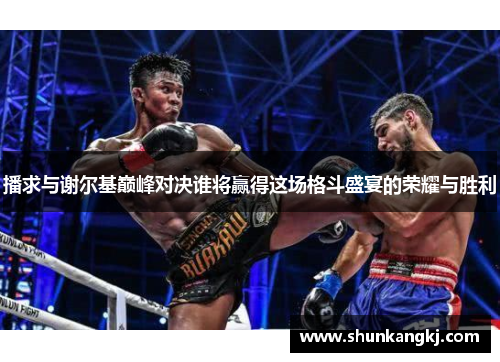播求与谢尔基巅峰对决谁将赢得这场格斗盛宴的荣耀与胜利